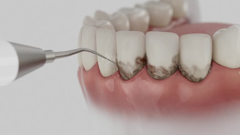 Reliable Dental contractor in New Berlin, IL by Dentist Open Now
